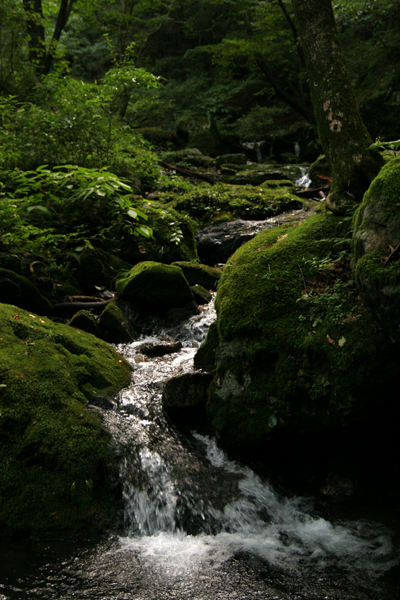 b0063234_23442347.jpg