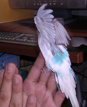 c0054148_1219442.jpg