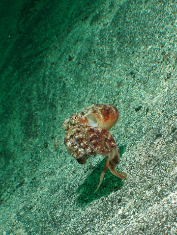 d0021952_1354326.jpg