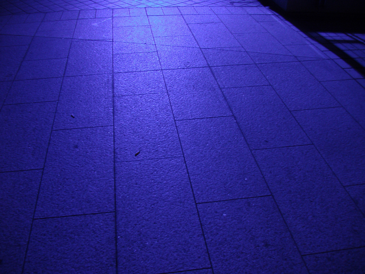 d0044453_2117139.jpg
