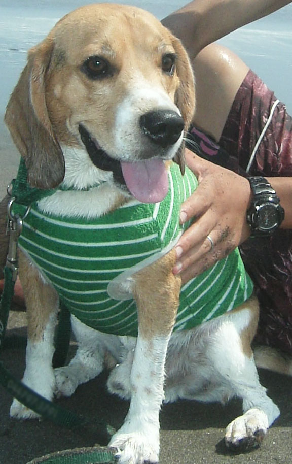 e0007060_043790.jpg