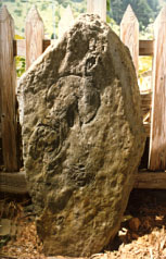 e0018762_1021419.jpg