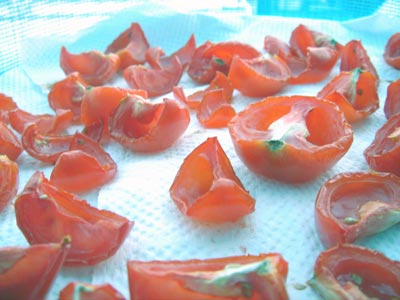 a0001964_23331416.jpg