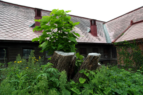 d0034980_2337638.jpg
