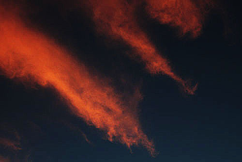 d0034980_95415100.jpg