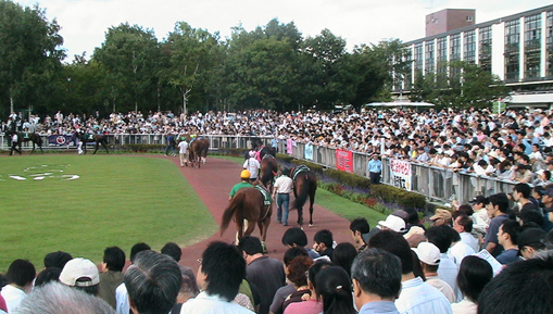 c0016987_11331875.jpg