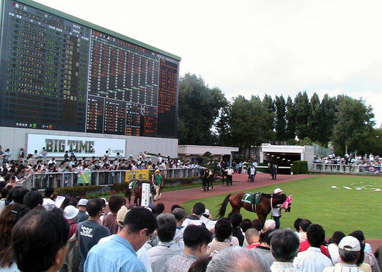 c0016987_11333210.jpg