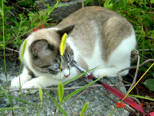 a0005691_19525027.jpg