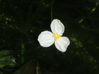 a0018200_17403117.jpg
