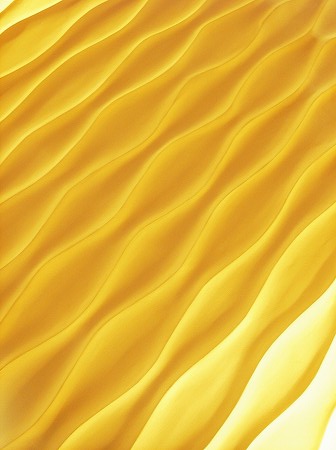 a0020901_18144911.jpg