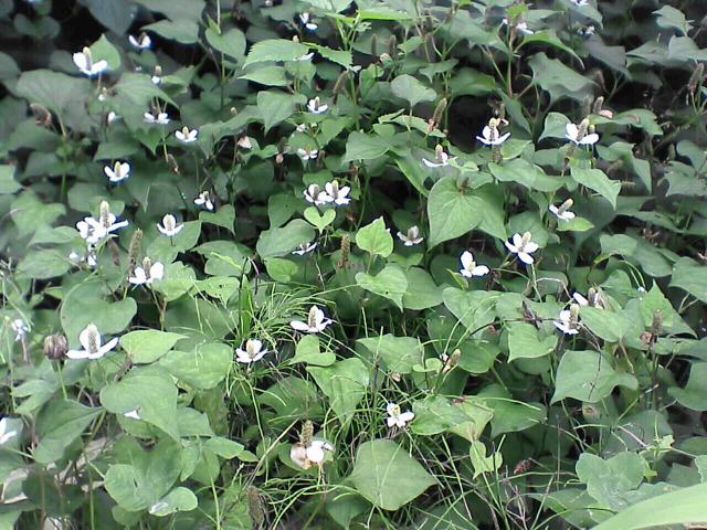 b0048509_2050235.jpg