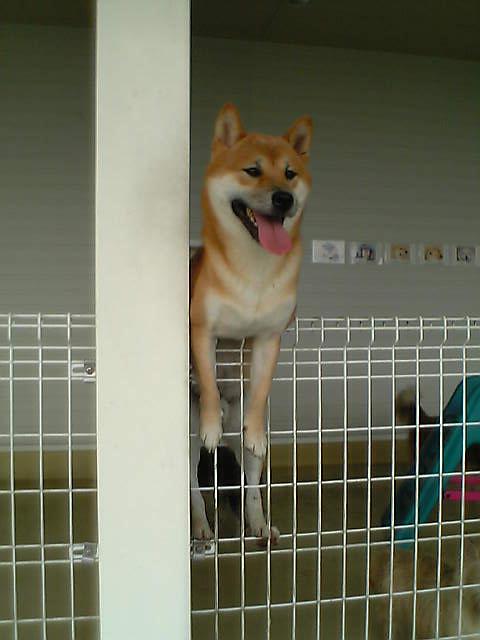 c0003217_22265688.jpg