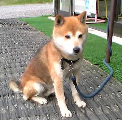 c0003217_2230516.jpg