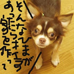 c0036617_17393375.jpg
