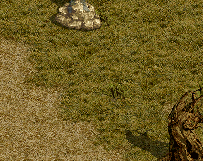 e0004726_15394291.gif