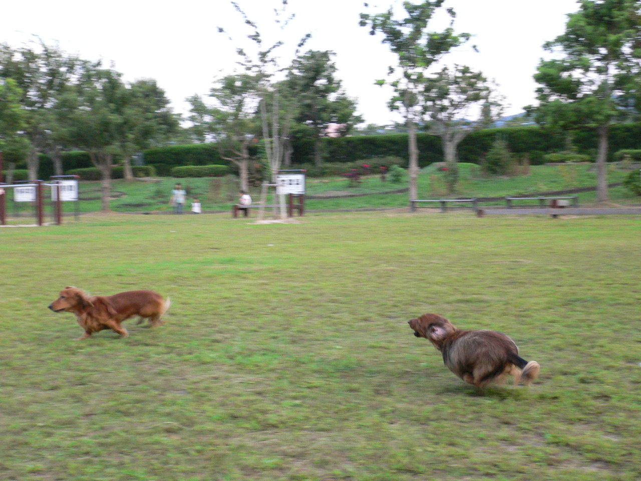 e0063136_0142637.jpg