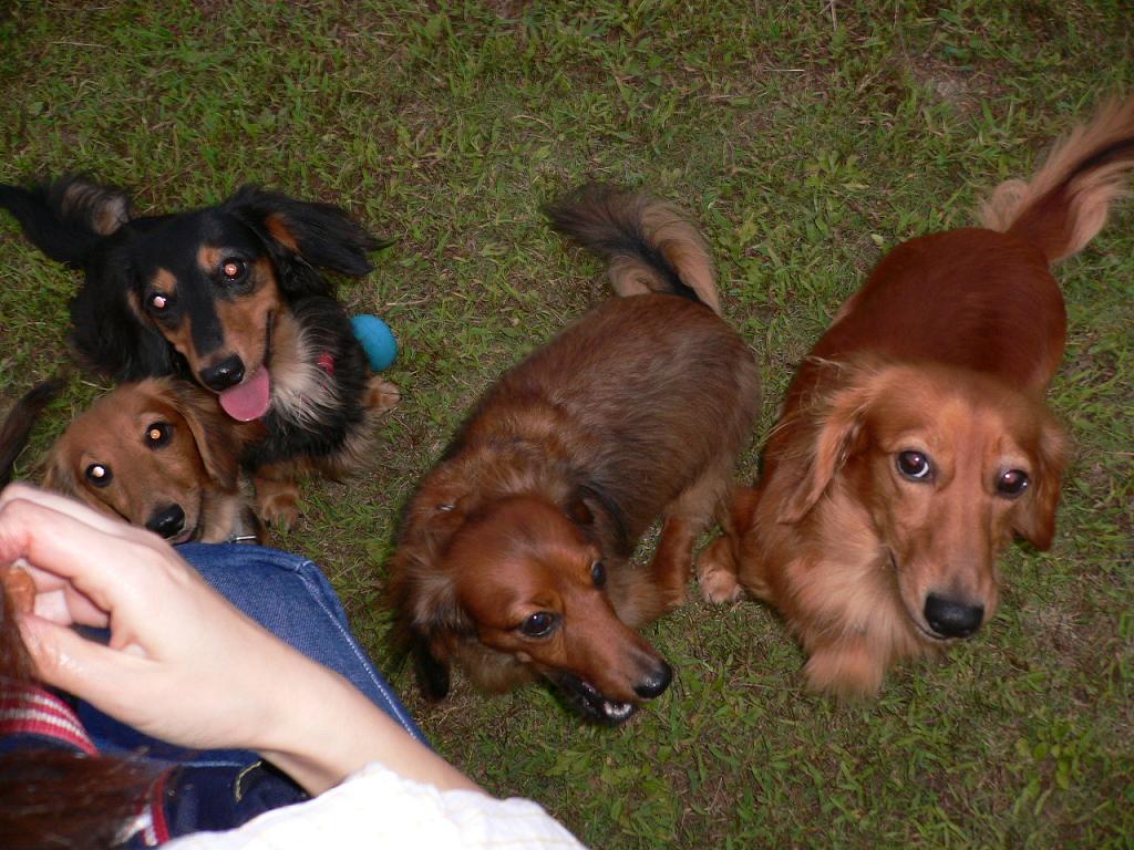 e0063136_0193359.jpg