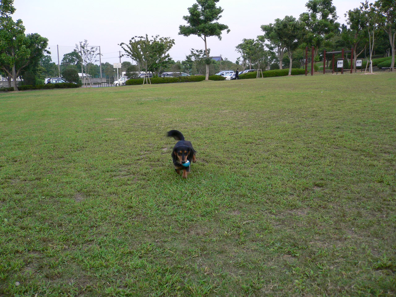 e0063136_0282126.jpg