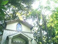 b0012252_12281320.jpg