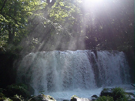 d0020159_1703330.jpg