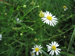 d0034659_2281446.jpg