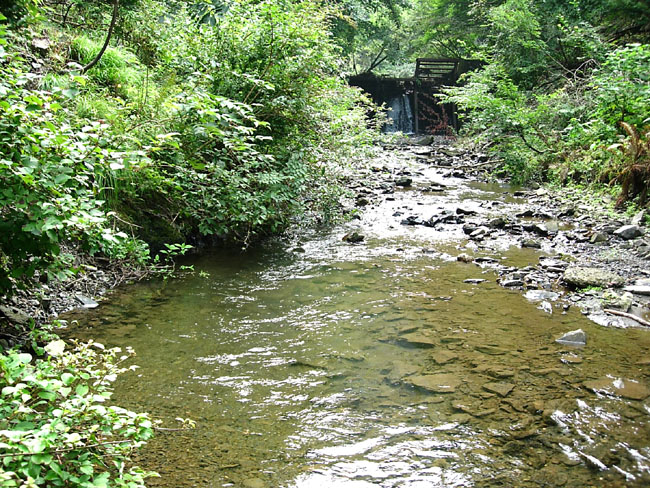 b0053660_12465724.jpg