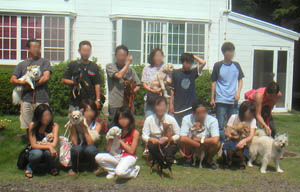 c0012571_17585821.jpg