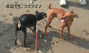 c0012571_1855632.gif