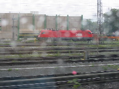 b0039373_14102567.jpg