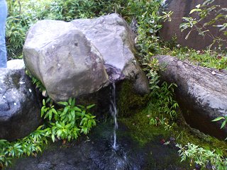 b0004675_2313115.jpg