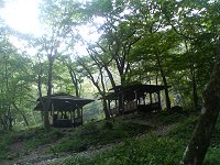 b0004675_23131387.jpg