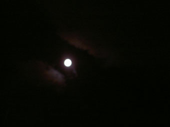 c0060380_22165475.jpg