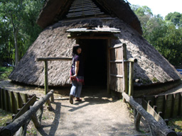 c0035386_23143912.jpg