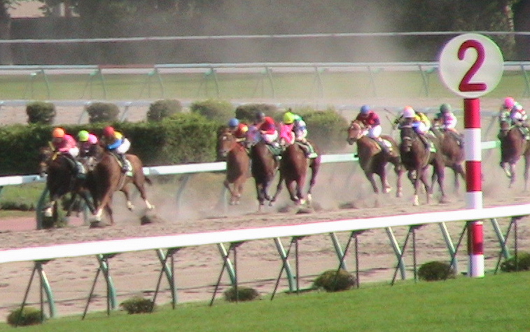 c0016987_0434851.jpg