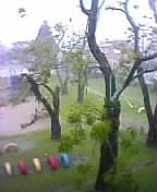 e0006692_2013537.jpg