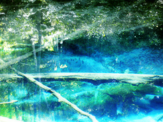c0055305_2233493.jpg
