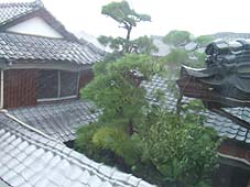 b0063313_14552573.jpg