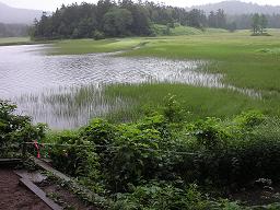 b0039517_0374489.jpg
