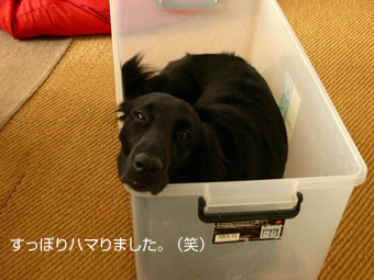 c0012120_252559.jpg