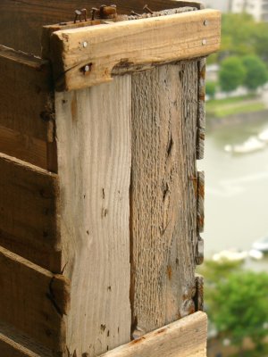 d0018131_145325.jpg