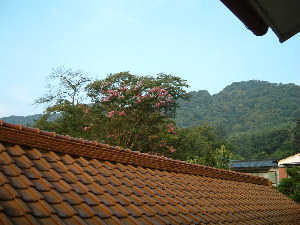d0027836_21375661.jpg