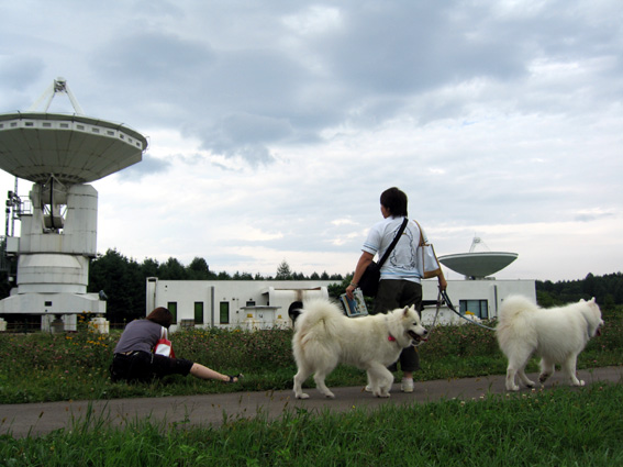 c0035838_1441845.jpg
