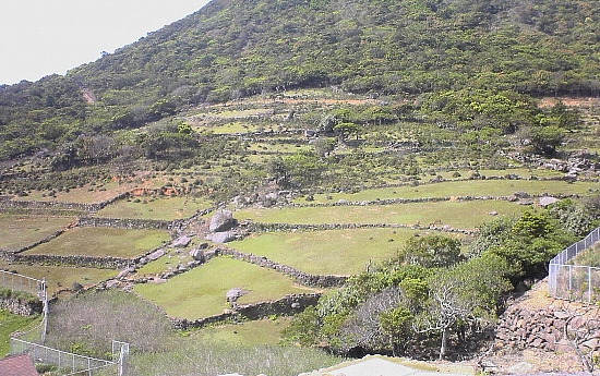 c0041039_8291753.jpg