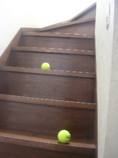 c0065643_9491825.jpg