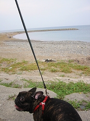 c0015354_1357424.jpg