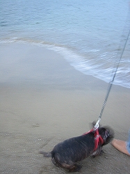 c0015354_144247.jpg