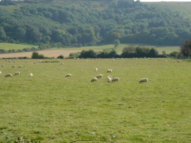 e0045367_9122580.jpg