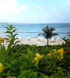 c0036690_18233765.jpg
