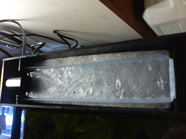 e0010301_11275254.jpg