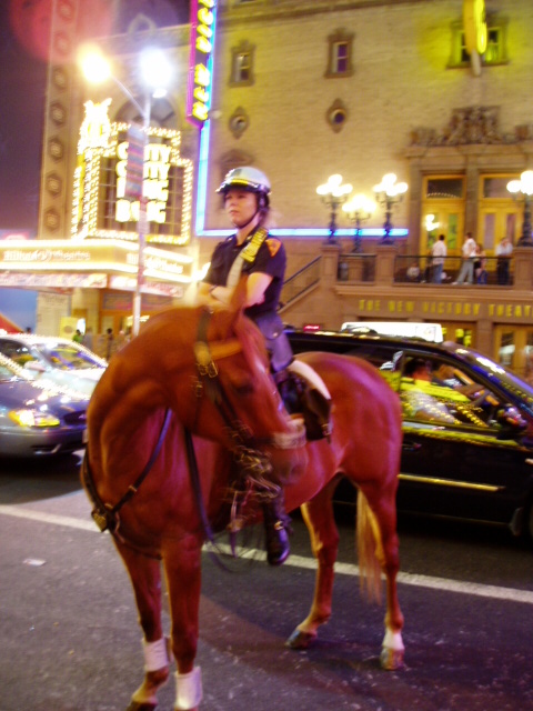 c0037103_23122559.jpg
